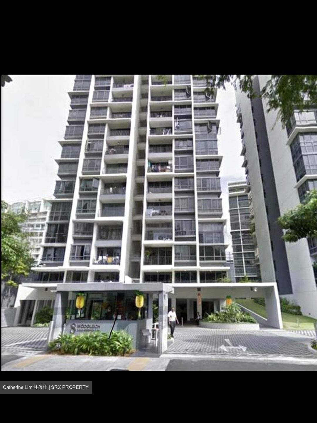 8@Woodleigh (D13), Condominium #505823991